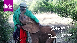 Barcroft TV screenshot 3