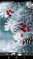 Winter Chill Wallpapers screenshot 3