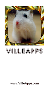 Dwarf Hamsters Cartaz