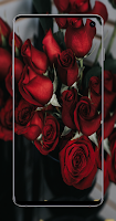 Red wallpaper - HD,4K background imagem de tela 2