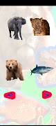 Animals Sounds: World Sounds screenshot 6