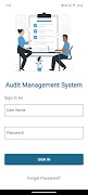 Save Audit постер