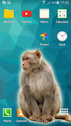 Gorilla in phone prank imagem de tela 1