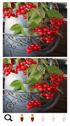Spot a Difference Vases screenshot 2