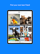 Pet Links Screenshot 3