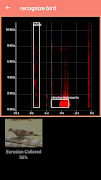 Bird Identification screenshot 2