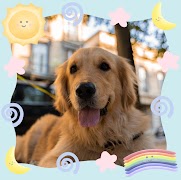 برنامه‌نما Cute Photo Frame عکس از صفحه