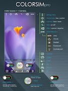 Colorsim Pro screenshot 1