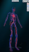 Vascular system স্ক্রিনশট 2