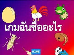 life cycle syot layar 5