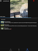 Trender screenshot 4