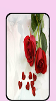 rose love images poster
