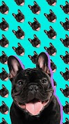 Patternator: App sửa hình nền ảnh chụp màn hình 1