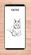 2 Schermata Come Disegnare Un Gatto