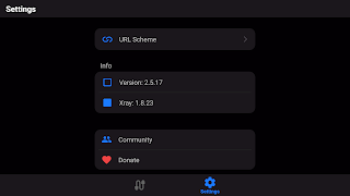 v2RayTun screenshot 7