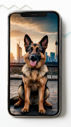 پوستر German Shepherd HD Wallpapers