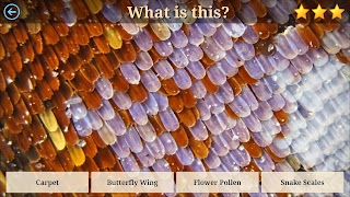 Microcosm Secrets Quiz スクリーンショット 1