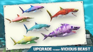 Shark Attack Wild Sim screenshot 2