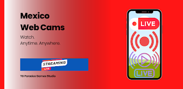 Mexico Webcams पोस्टर