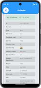 3 Schermata IP Checker