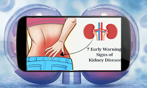 Understanding Kidney Function скриншот 6