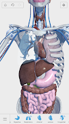 Visual Anatomy 3D screenshot 2