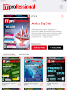 IT Professional poster