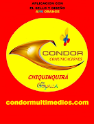 Condor Virtual captura de pantalla 7