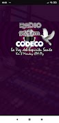 Radio Codeco 90.5 FM الملصق