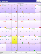Arthritis Diary screenshot 5
