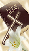 Bible Audio screenshot 5