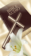 Bible Audio скриншот 5