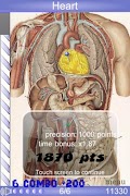 Speed Anatomy Quiz Free постер
