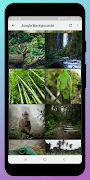 Jungle background স্ক্রিনশট 5