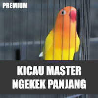KICAU MASTER NGEKEK PANJANG Plakat