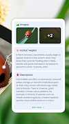 برنامه‌نما Picture insect: Bug identifier عکس از صفحه