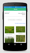 Rice Xpert screenshot 1