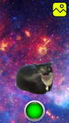 Maxwell Cat Dance screenshot 2