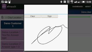 EfmAudit syot layar 3