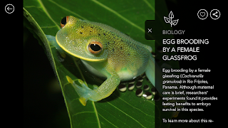 برنامه‌نما NSF Science Zone عکس از صفحه