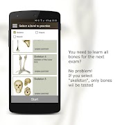 Anatomi Testi скриншот 6