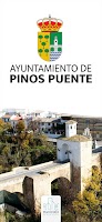 Pinos Puente 포스터