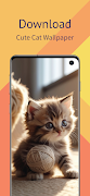 Cute Cat Wallpaper HD poster