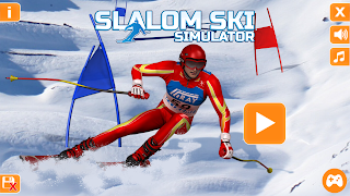 Slalom Ski Simulator पोस्टर