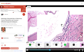 ESGO eAcademy screenshot 6
