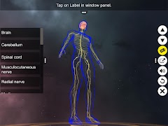 برنامه‌نما Human Nervous system عکس از صفحه