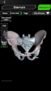 Osseous System in 3D (Anatomy) اسکرین شاٹ 7