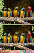 Find Difference Game 2021 ภาพหน้าจอ 4