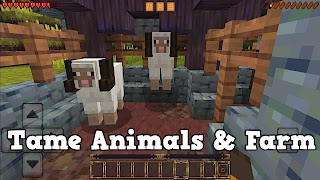 Mini Block Universe screenshot 1