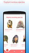 Monkey identification - identi скриншот 4